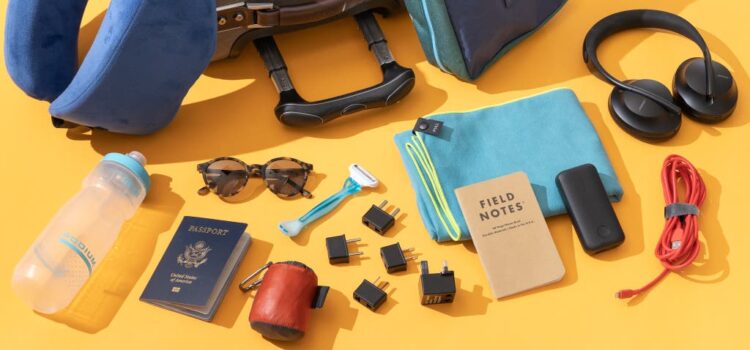 Travel Purses for Women: Top 10 Must-Have Accessories for Stylish Adventurers