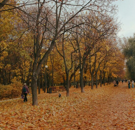 Russia in Autumn: Best Places to See the Fall Colors