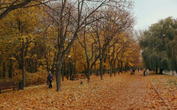 Russia in Autumn: Best Places to See the Fall Colors