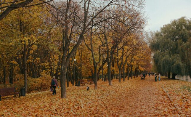 Russia in Autumn: Best Places to See the Fall Colors