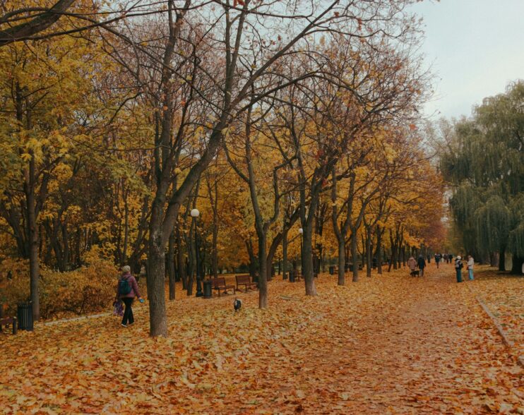 Russia in Autumn: Best Places to See the Fall Colors