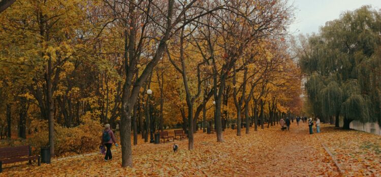 Russia in Autumn: Best Places to See the Fall Colors