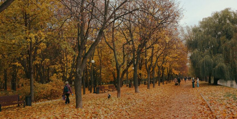 Russia in Autumn: Best Places to See the Fall Colors