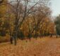 Russia in Autumn: Best Places to See the Fall Colors